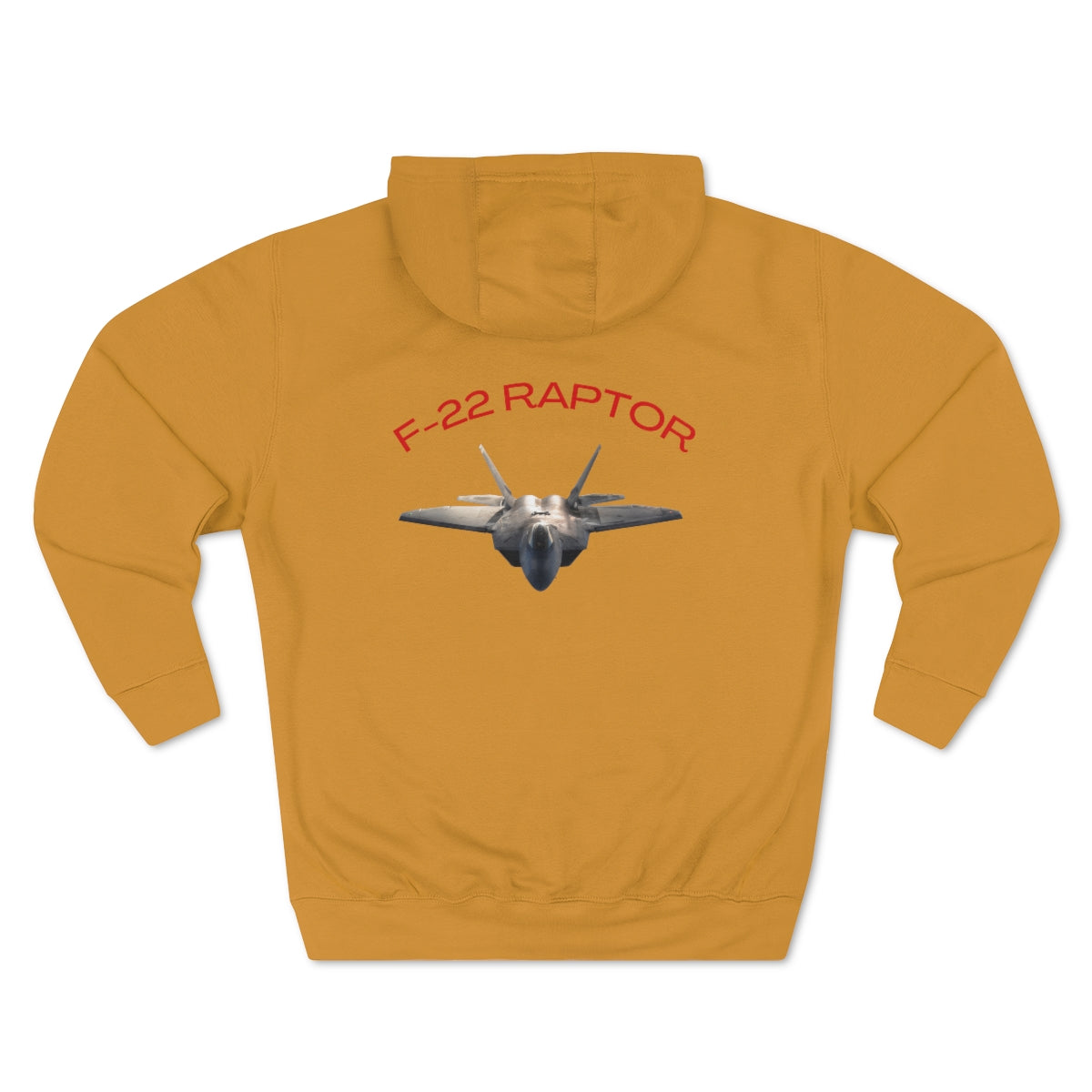 Hoodie ( Air Force RAPTOR 2 ) Military Style