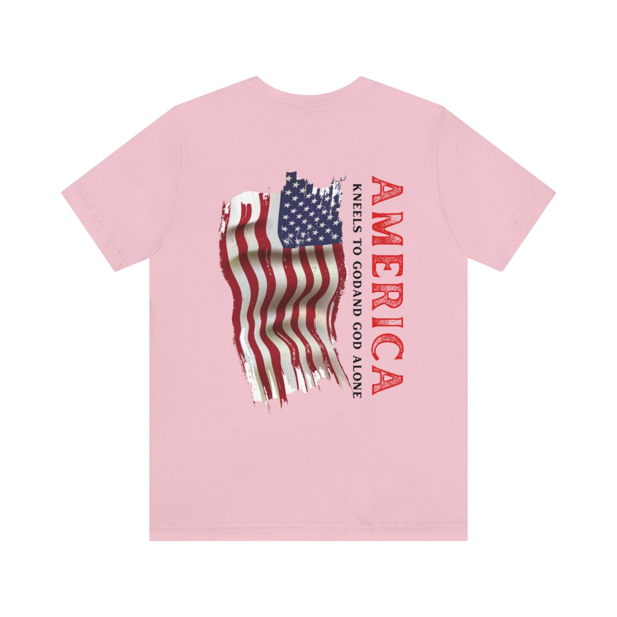 T-Shirt classic Jersey ( America )