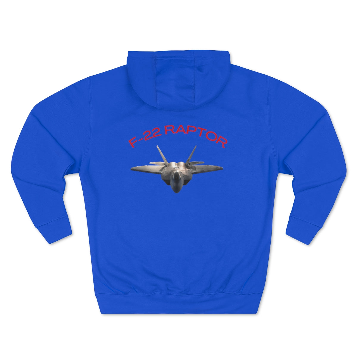 Hoodie ( Air Force RAPTOR 2 ) Military Style