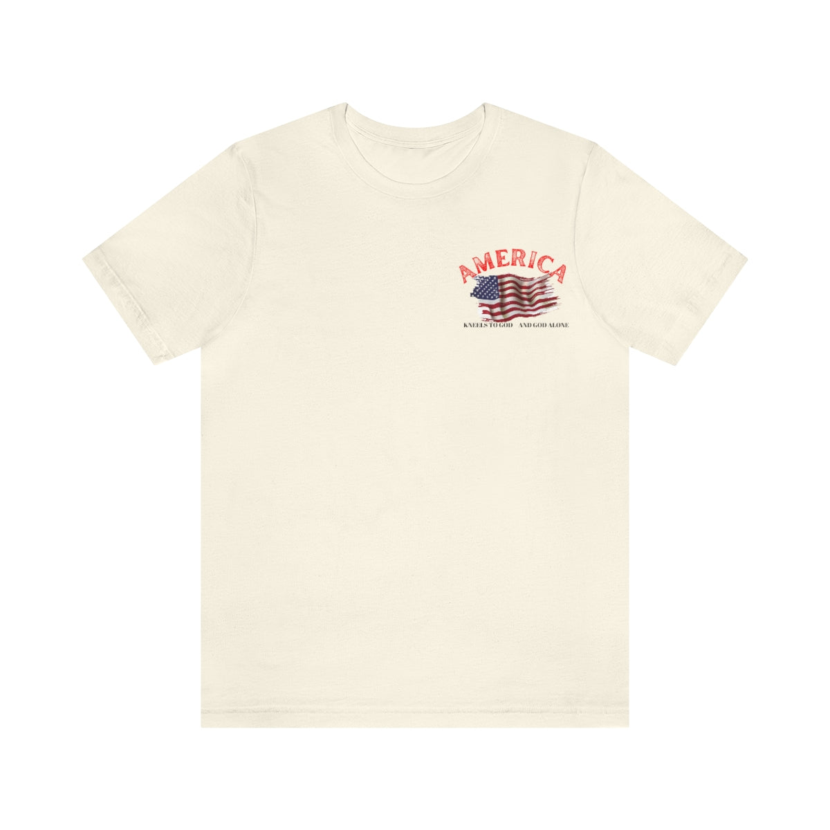 T-Shirt classic Jersey ( America )