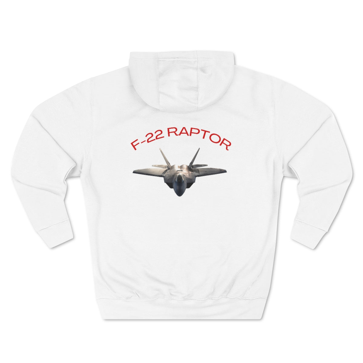 Hoodie ( Air Force RAPTOR 2 ) Military Style