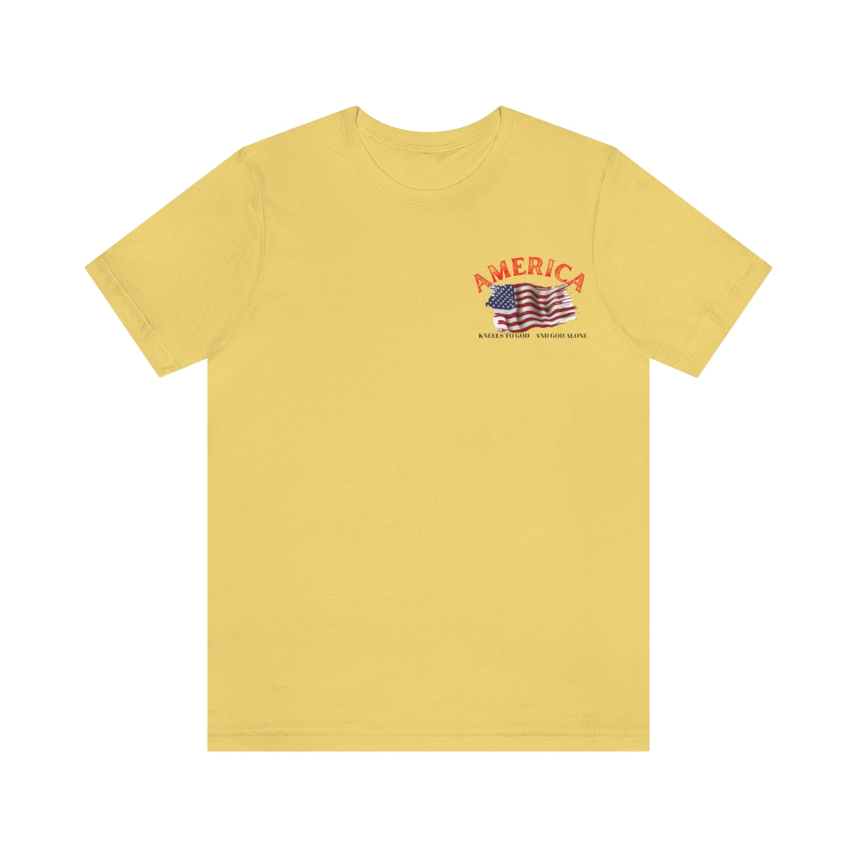 T-Shirt classic Jersey ( America )