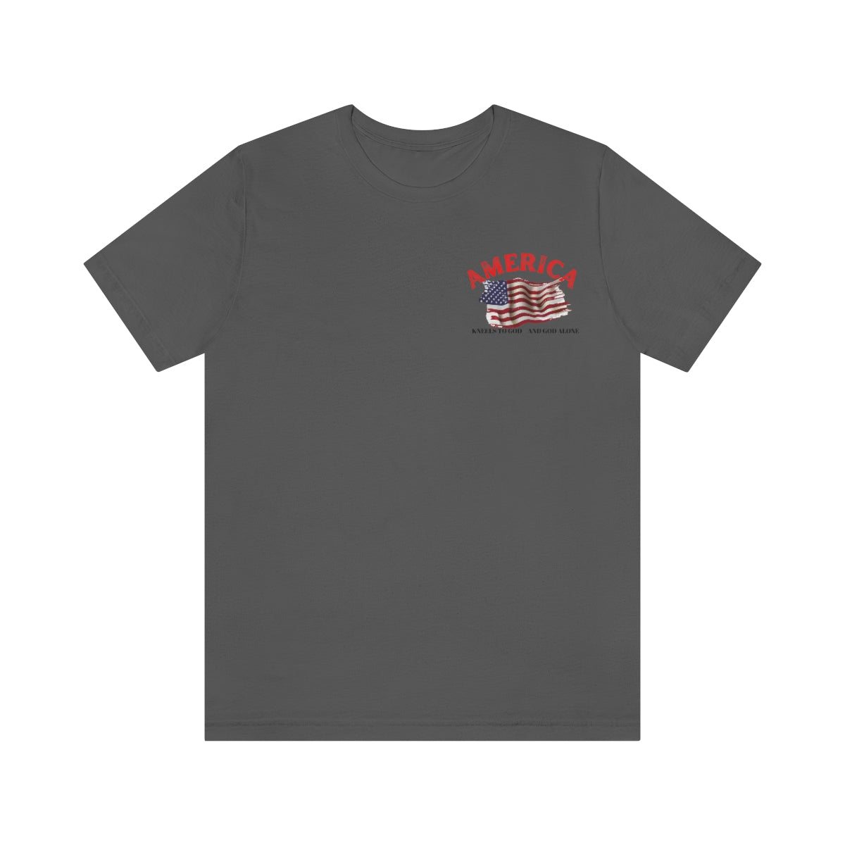 T-Shirt classic Jersey ( America )
